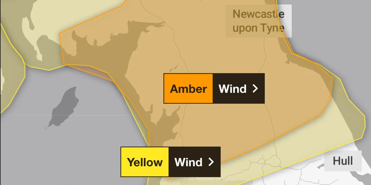 [news weather]