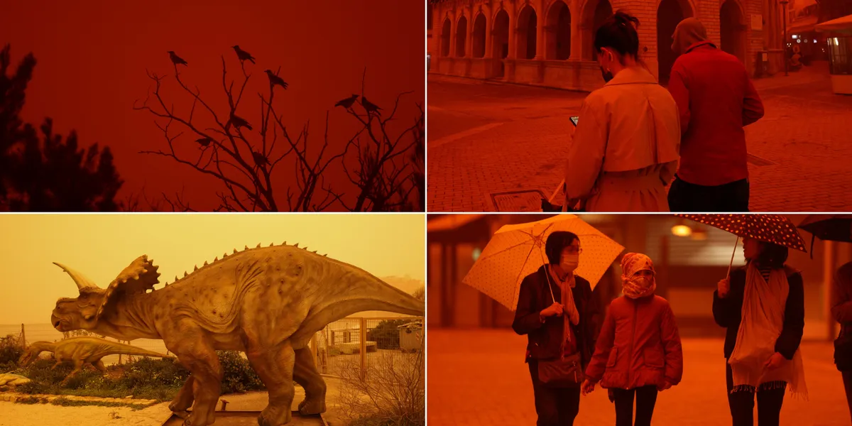 [news weather]