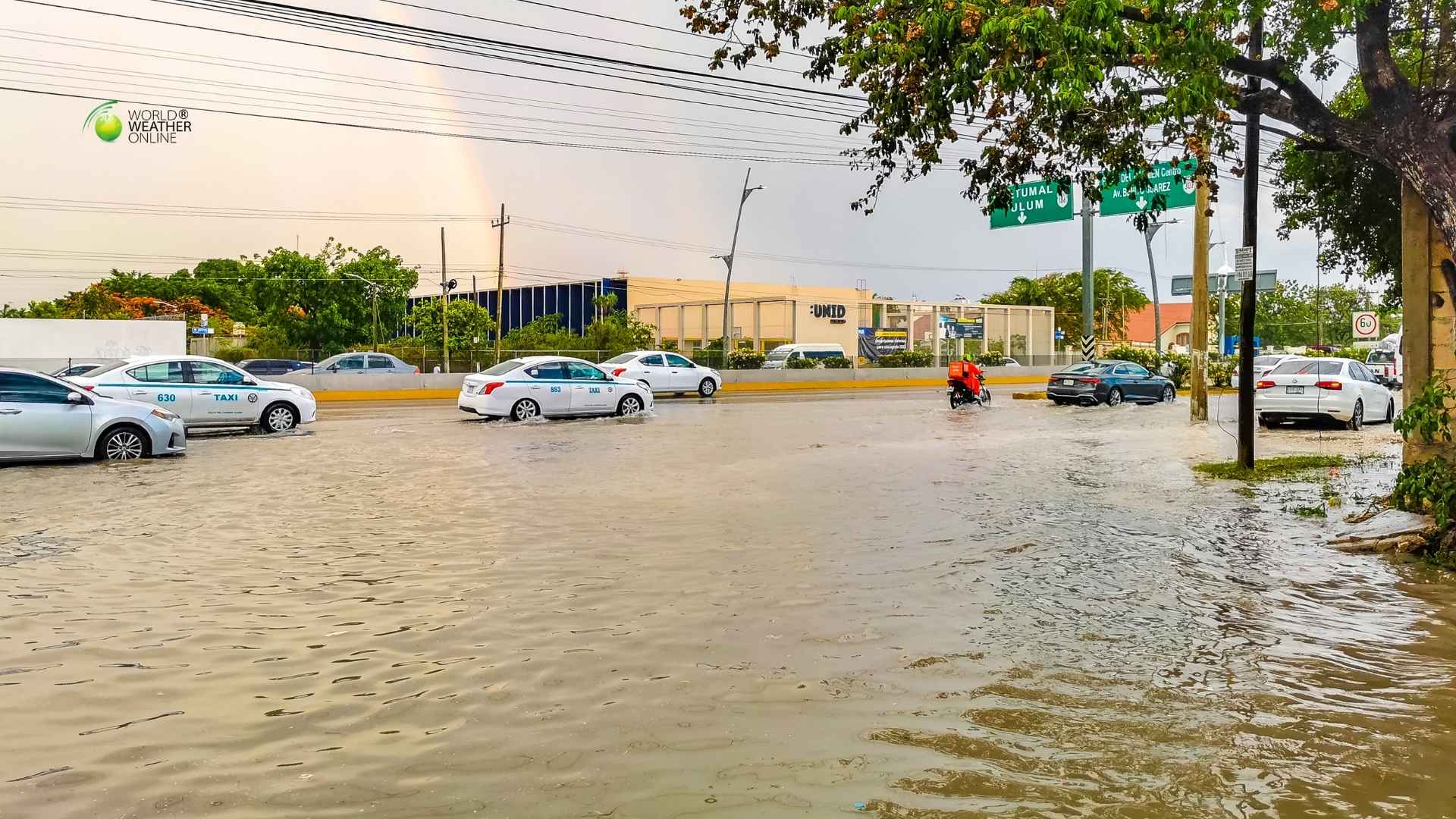 [news weather]