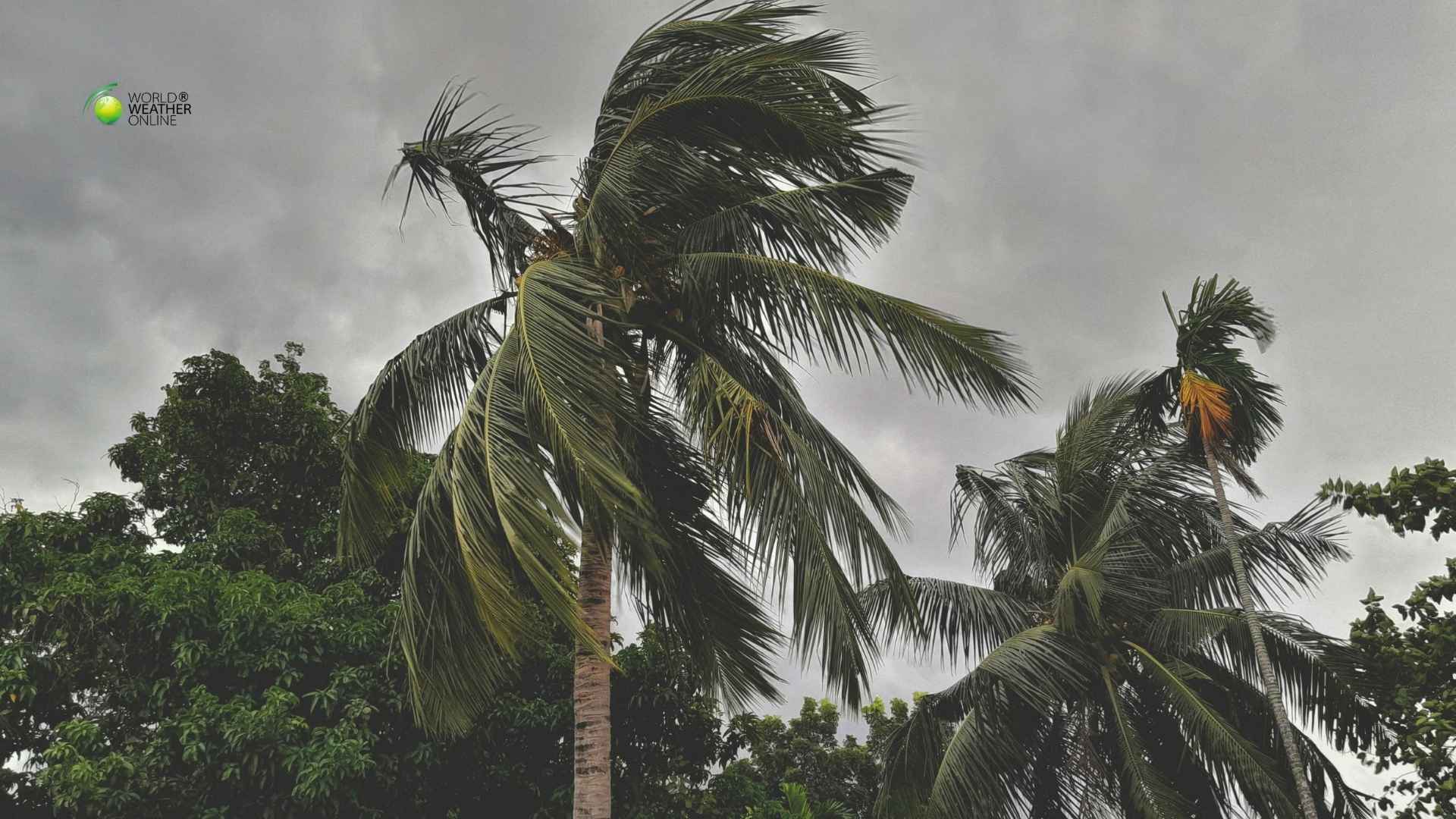 [news weather]