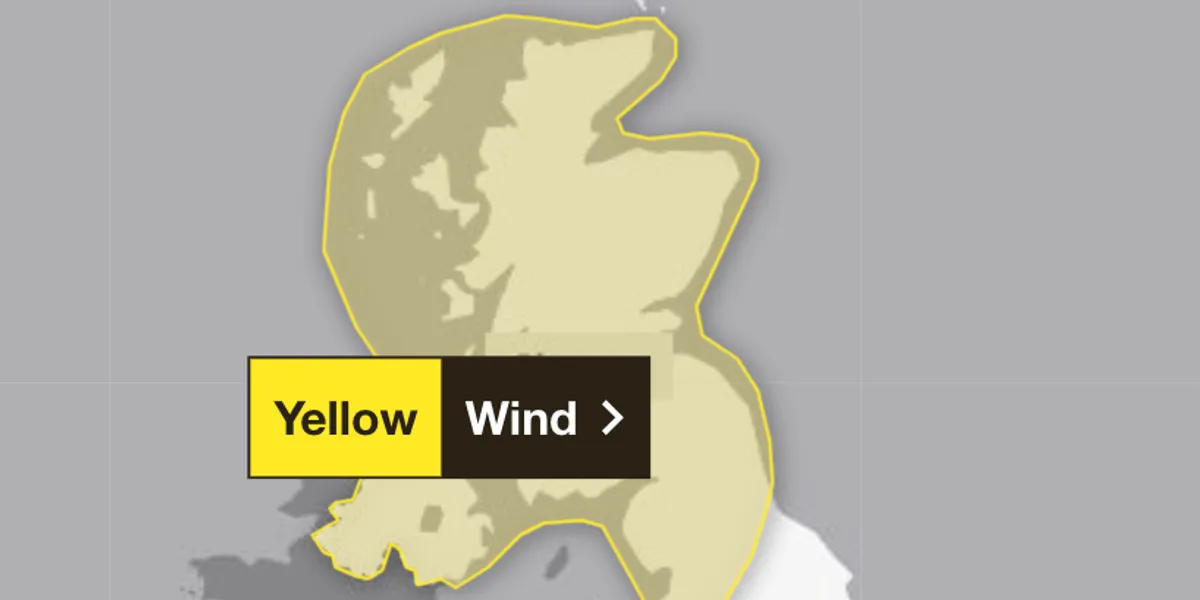 [news weather]